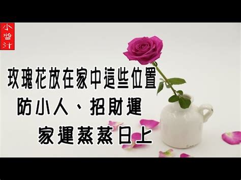 種玫瑰 風水|【玫瑰風水】玫瑰風水的秘密：家裡種植的禁忌事項，你知道嗎？。